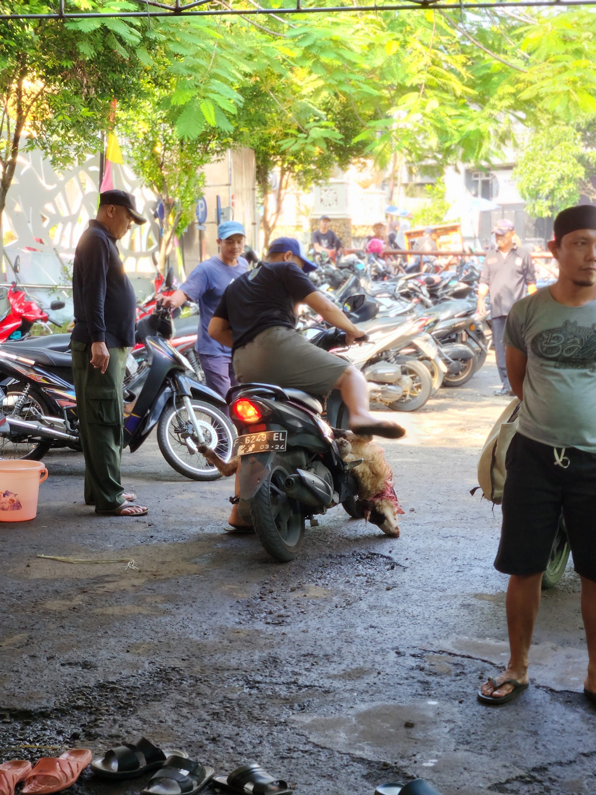 Pembungkusan dan Proses Pendistribusian Hewan Qurban 1444H